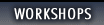 Workshops